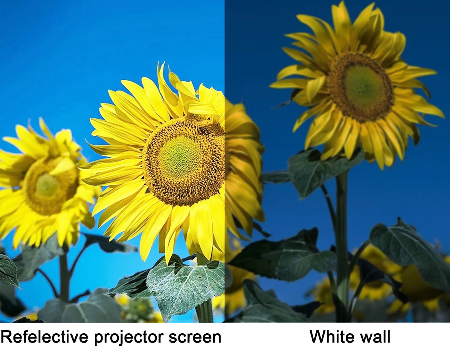 Reflective Projector Screen (Anti Light)